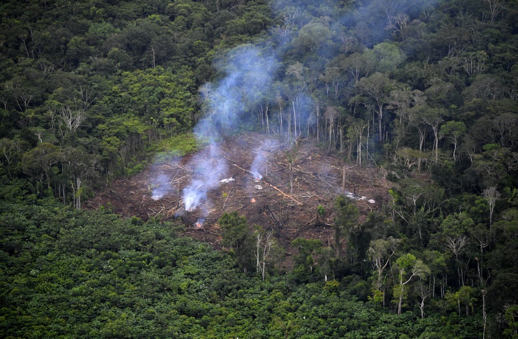 Déforestation: 43 millions d'hectares perdus sur les principaux "fronts", selon le WWF