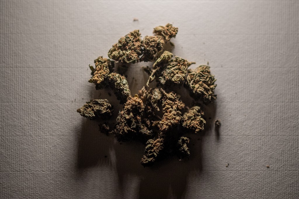 Une photo prise le 14 janvier 2021 à Lavau-sur-Loire, dans l'ouest de la France, montre des têtes de chanvre CBD (cannabidiol). (AFP)
