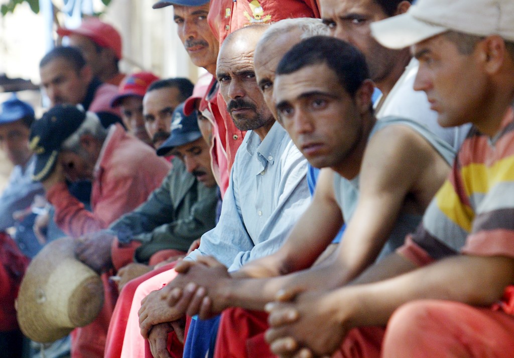 Un réseau illégal de travailleurs agricoles marocains démantelé dans le sud-ouest de la France