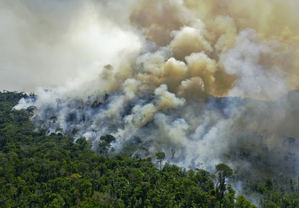 Brésil: les incendies de forêt au plus haut en dix ans