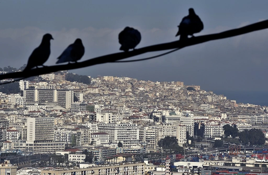 Cette photo prise le 18 janvier 2021 depuis une colline du quartier de Sidi Mhamed montre des oiseaux perchés avec une vue en contrebas de la capitale algérienne Alger par temps clair. (AFP)