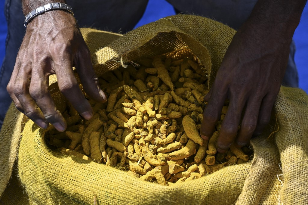 Sri Lanka: l'interdiction d'importer les biens «non essentiels» mal supportée