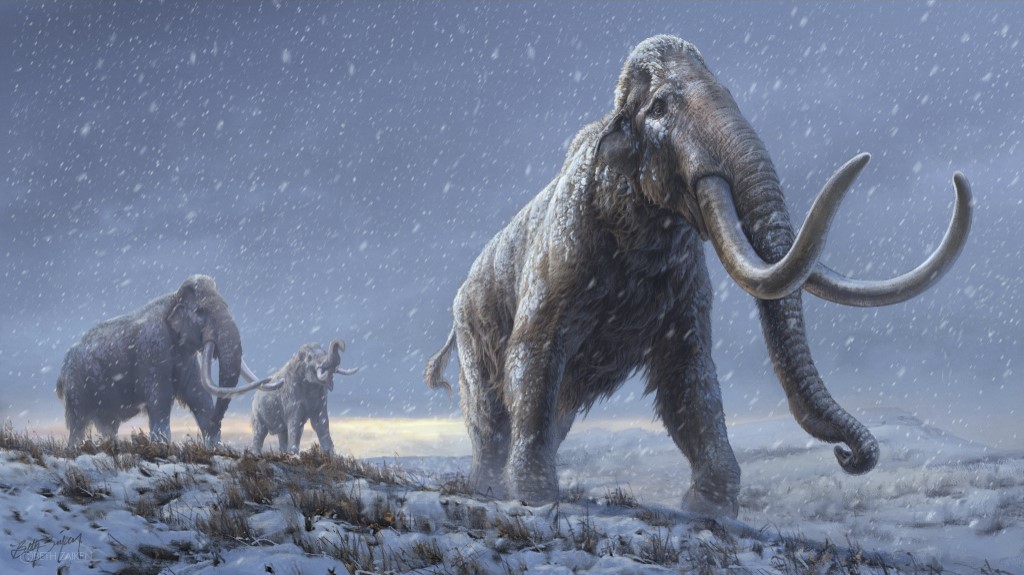 Cette illustration de document obtenue le 17 février 2021 par le magazine Nature, représente une reconstitution des mammouths des steppes qui ont précédé le mammouth laineux, sur la base des connaissances génétiques que nous avons maintenant du mammouth Adycha. (Document/Beth Zaiken/Centre de paléogénétique/ AFP)
