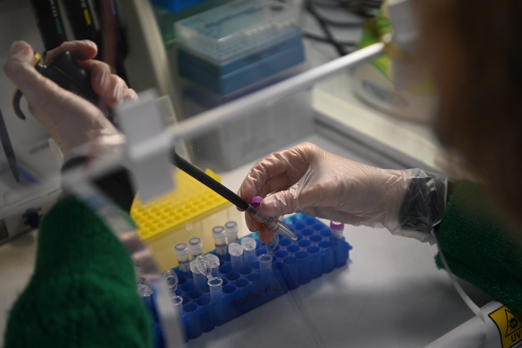 Covid: les premiers résultats sur les variants en Île-de-France «ne sont pas bons»