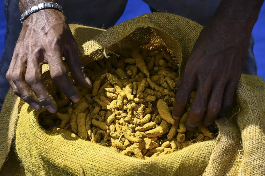 Sri Lanka: l'interdiction d'importer les biens «non essentiels» mal supportée