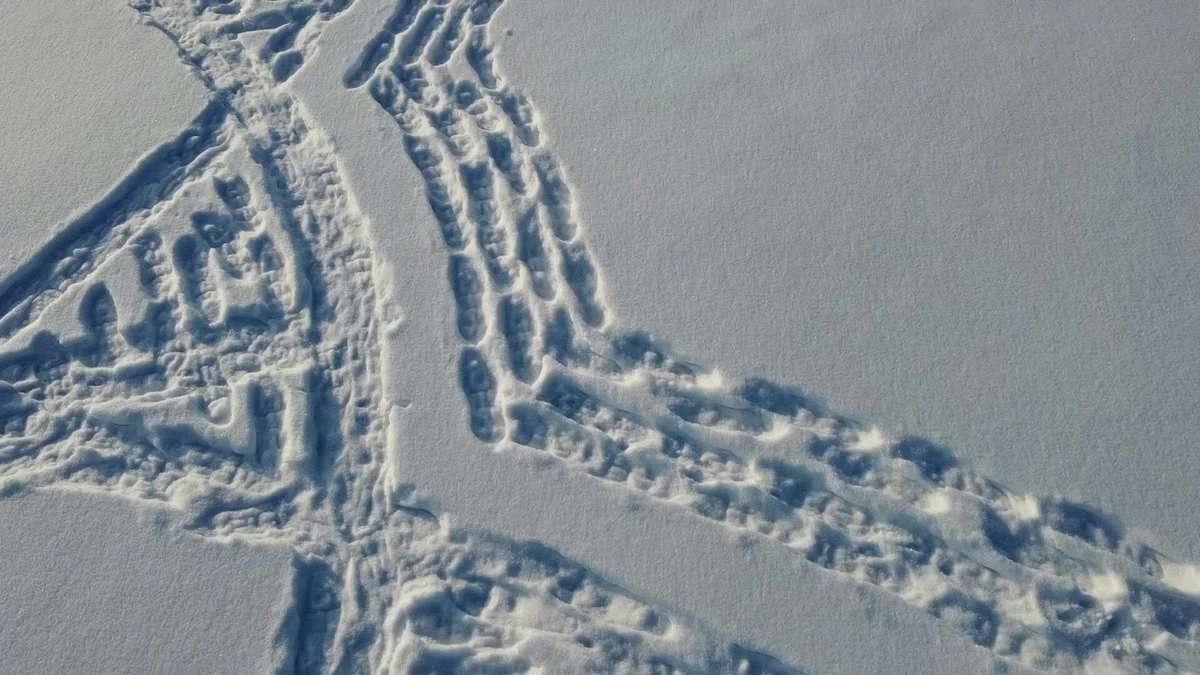 En Finlande, avalanche de succès pour une œuvre d'art géante tracée dans la neige