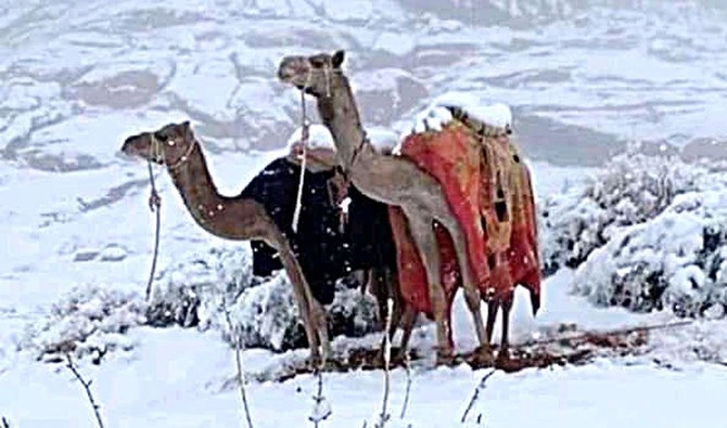 Les chutes de neige attirent les touristes à Tabuk en Arabie saoudite