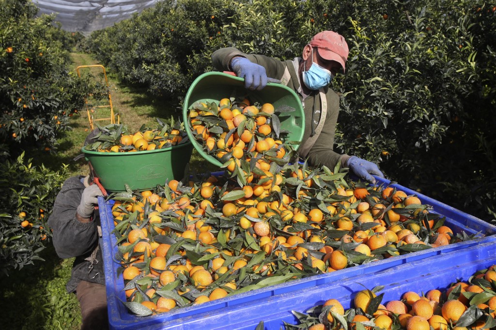 Après une récession en 2020, le Maroc devrait enfin souffler