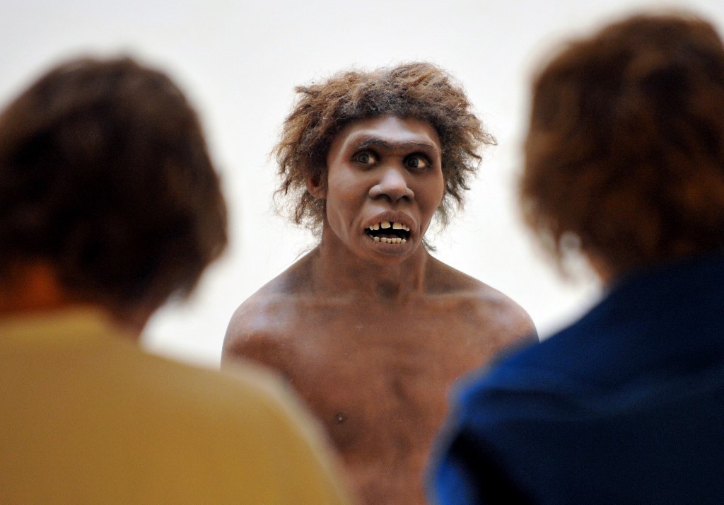 La disparition de l'Homme de Néandertal serait plus ancienne que l'on croyait