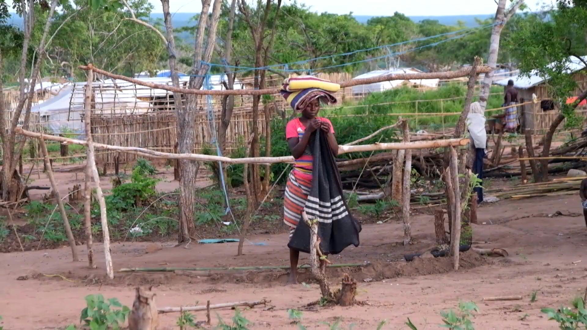 Qui sont les Shabab qui terrorisent le nord du Mozambique ?