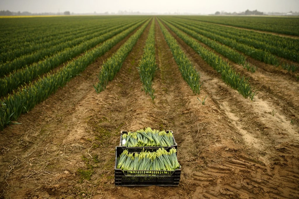 Stratégie «Génération Green»: priorité au développement humain