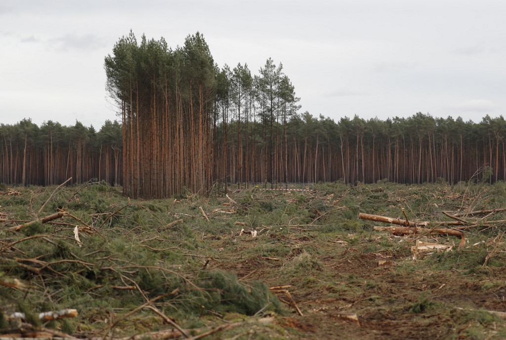 Déforestation liée aux importations: l'UE 2e responsable mondial après la Chine