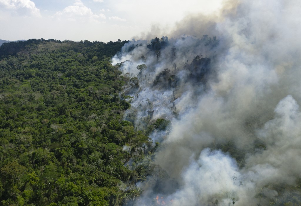 La forêt amazonienne désormais émettrice nette de carbone