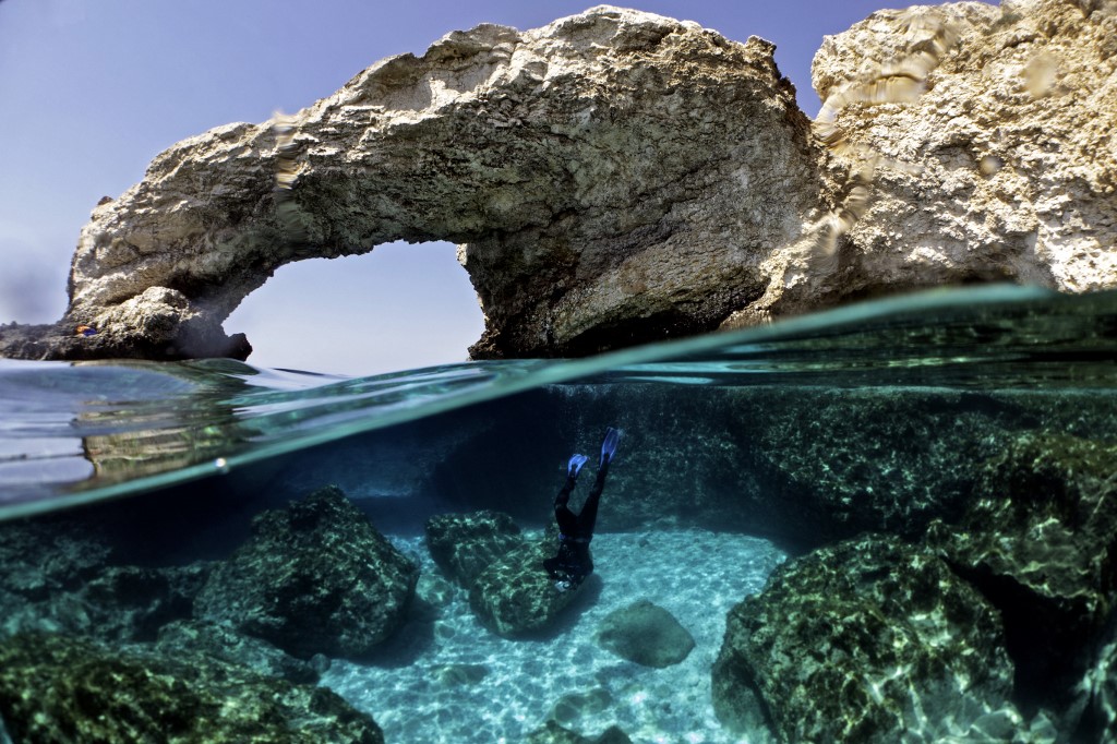 A Chypre, l'urgence de sauver les coraux du changement climatique