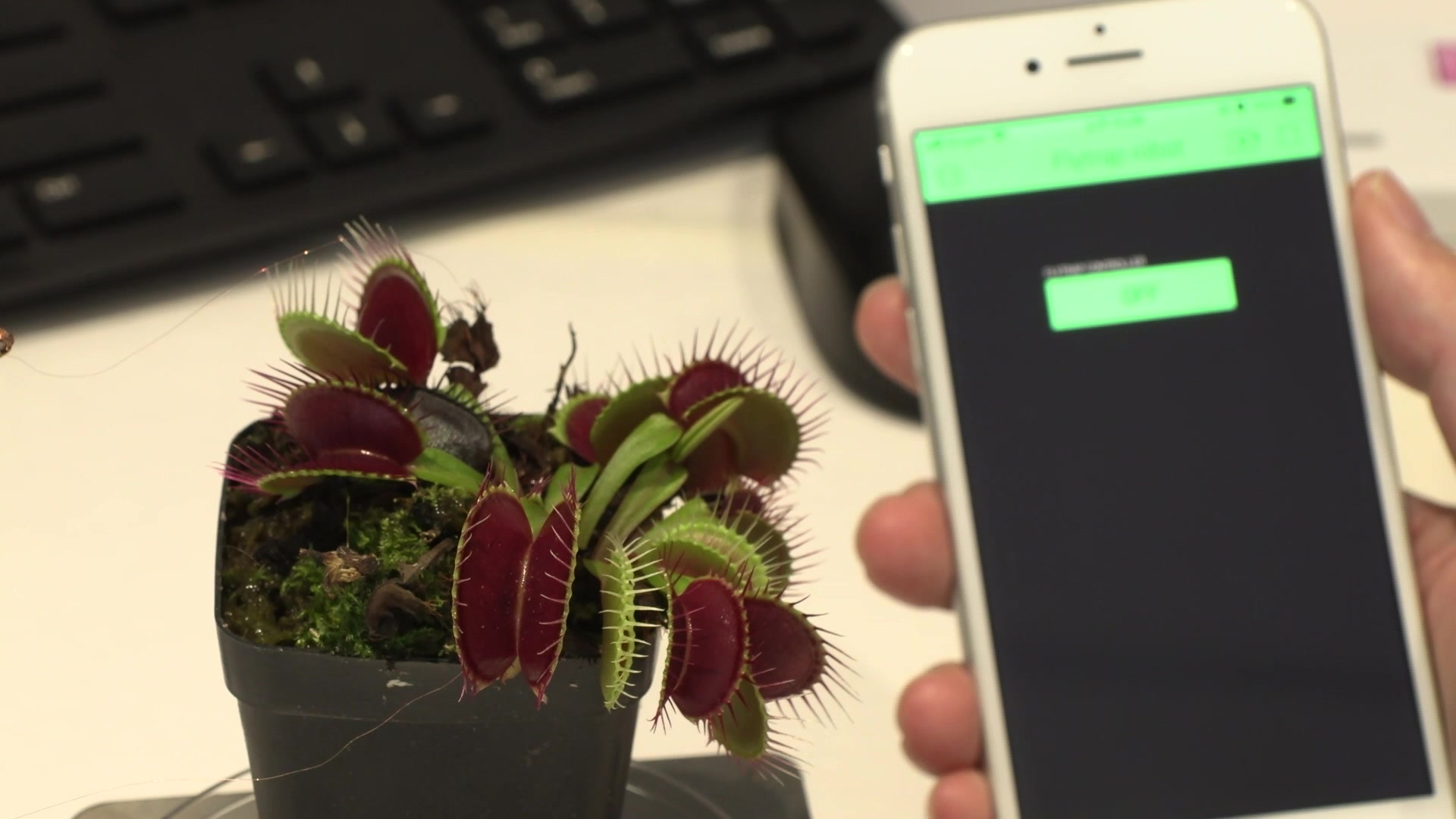 «Robots-plantes»: des scientifiques cherchent à combiner technologie et nature