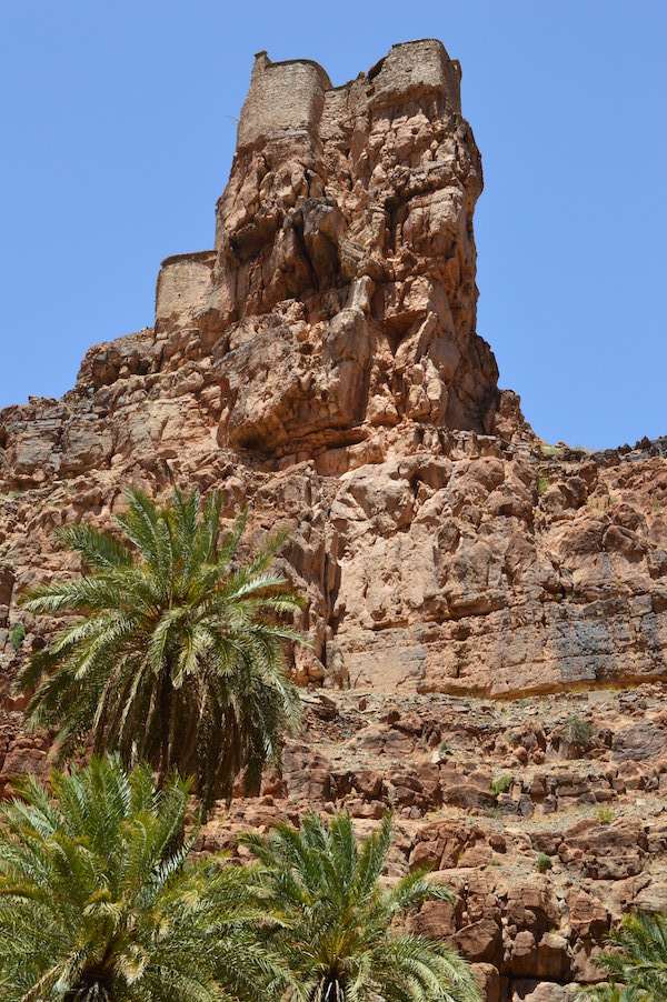 À l’extérieur des édifices, on retrouvait des cactus à épines, un premier rempart végétal qui permettait d’éloigner l’ennemi en cas d’attaque (fournie)