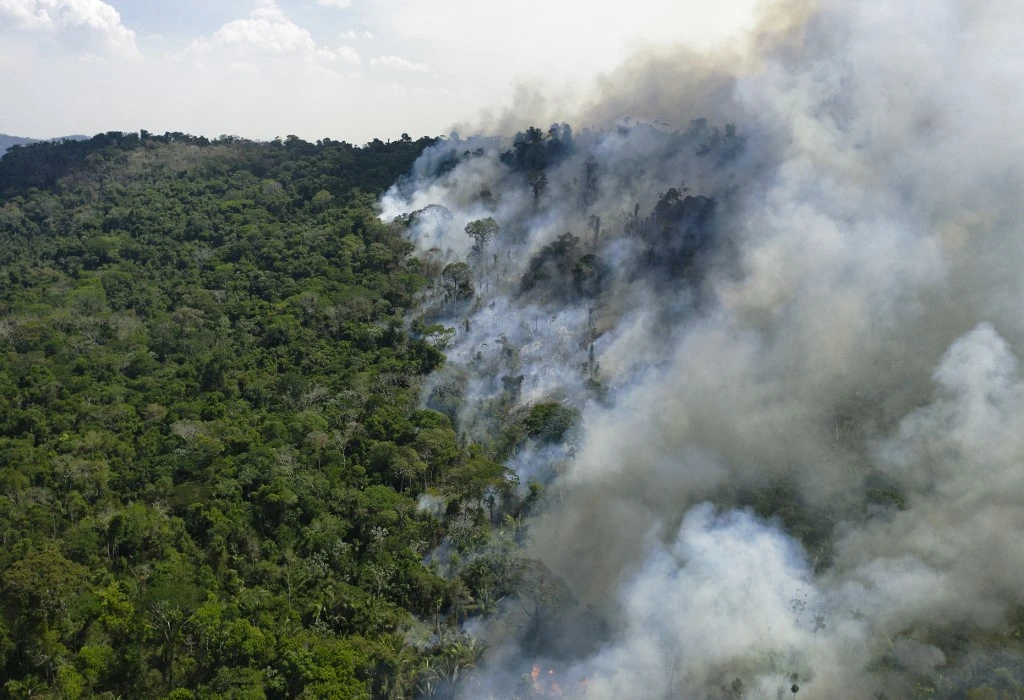 La forêt amazonienne désormais émettrice nette de carbone