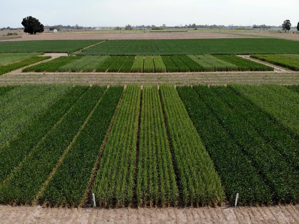 L’Association régionale des producteurs agricoles bios voit le jour