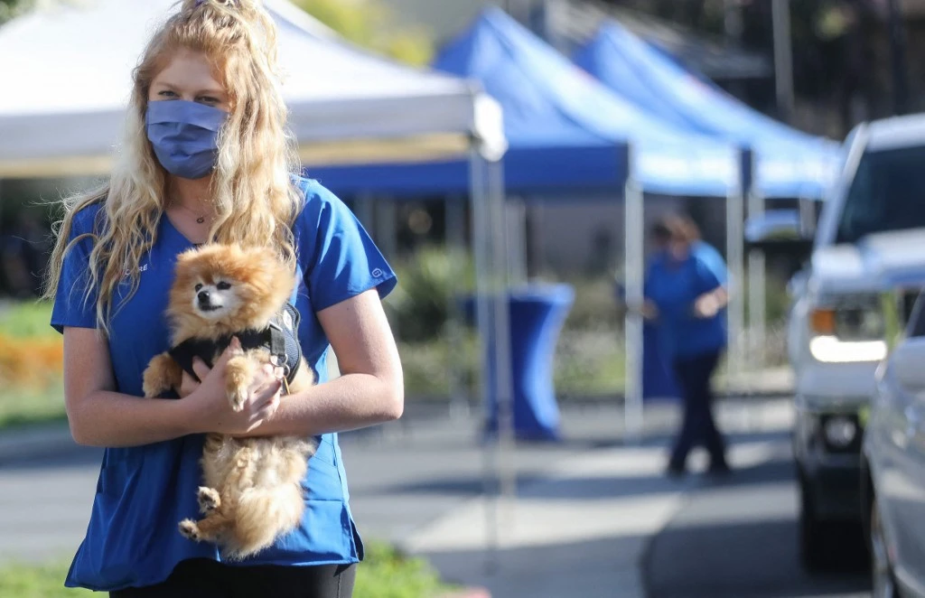 La Russie approuve un premier vaccin anti-Covid pour animaux