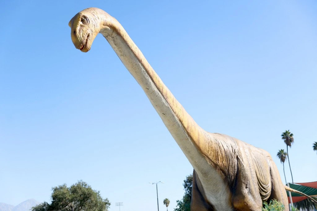 Comment les plus grands dinosaures volants supportaient leur cou démesuré