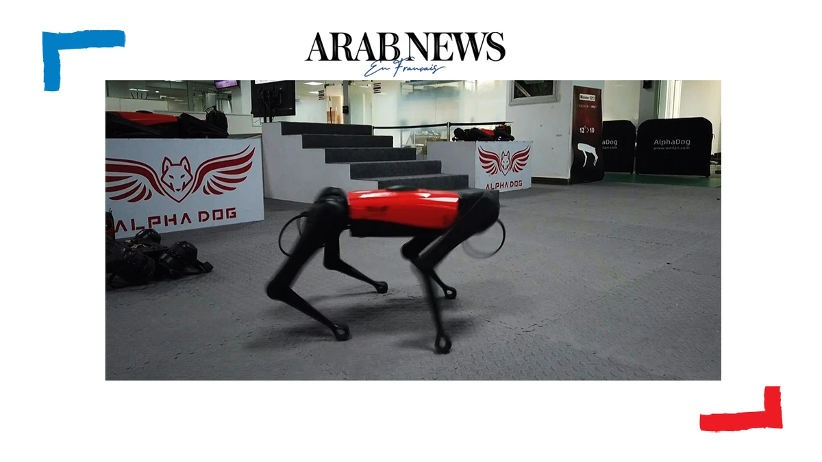 L'AlphaDog, un robot-chien qui court plus vite que son ombre