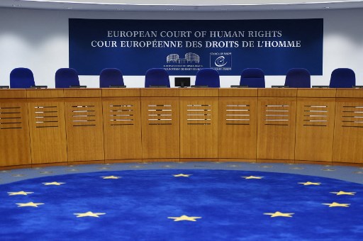 Rassemblement de soutien à la «révolution pacifique algérienne» devant le Parlement européen