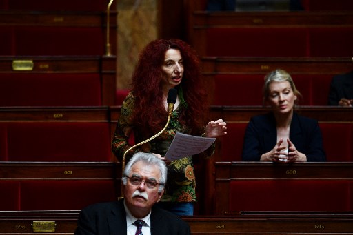 LFI interpelle le gouvernement après les images d'une députée jetée au sol par un policier