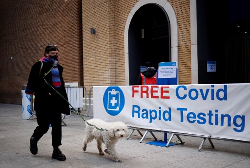 Le dépistage du coronavirus par des chiens scientifiquement prometteur