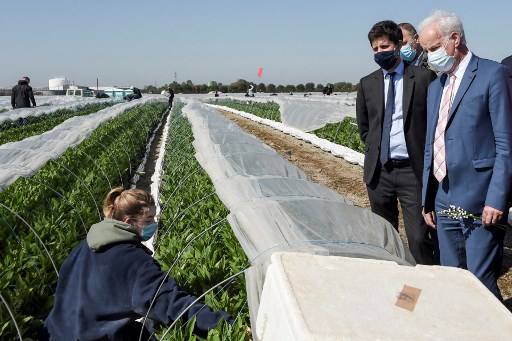 Le gouvernement se donne six mois pour armer l'agriculture face au réchauffement climatique