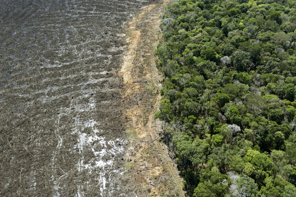 Brésil : déforestation record en Amazonie en avril