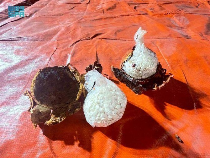 Le Liban arrête les deux frères soupçonnés de trafic de drogue à destination de l’Arabie saoudite