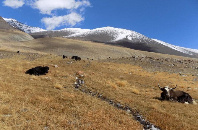 Kaboul construit une route en béton de 5 millions de dollars pour accéder à la Chine