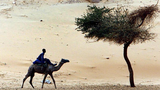 L'Égypte prend des mesures pour calmer la panique due au champignon noir alors que deux cas ont été détectés