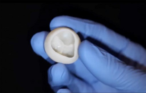 Une valve cardiaque fonctionnelle qu'une équipe de scientifiques américains a construite à partir de collagène à l'aide d'une bio-imprimante 3D (Photo, Carnegie Mellon University College of Engineering / AFP)