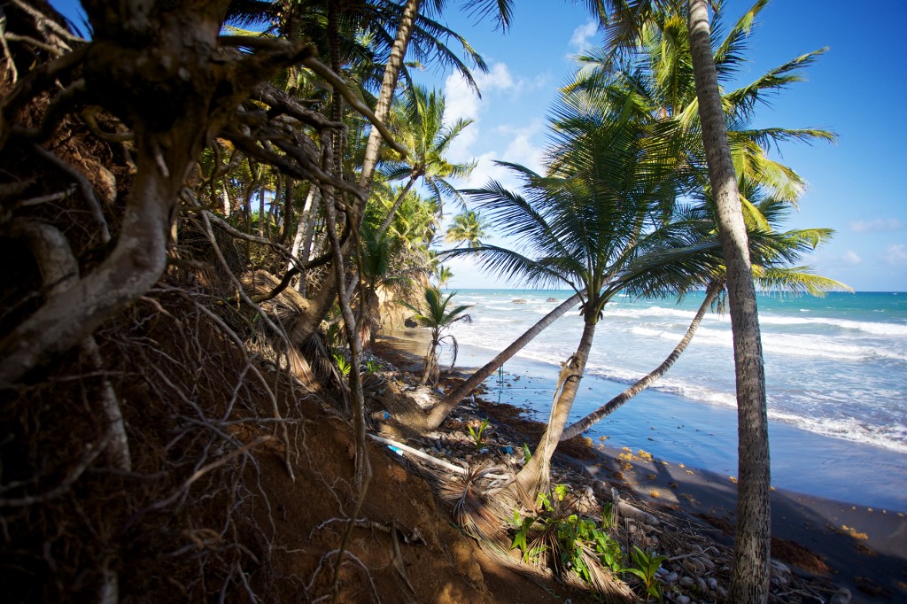 Guadeloupe: avec la levée des motifs impérieux, les premiers vacanciers débarquent