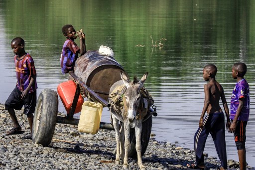 Enfants entourant une charrette tirée par un âne au bord de la rivière Atbarah dans la région agricole de Fashaqa al-Sughra de l'État soudanais de Gedaref, une zone revendiquée à la fois par le Soudan et l'Éthiopie. (Ashraf Shazly / AFP)