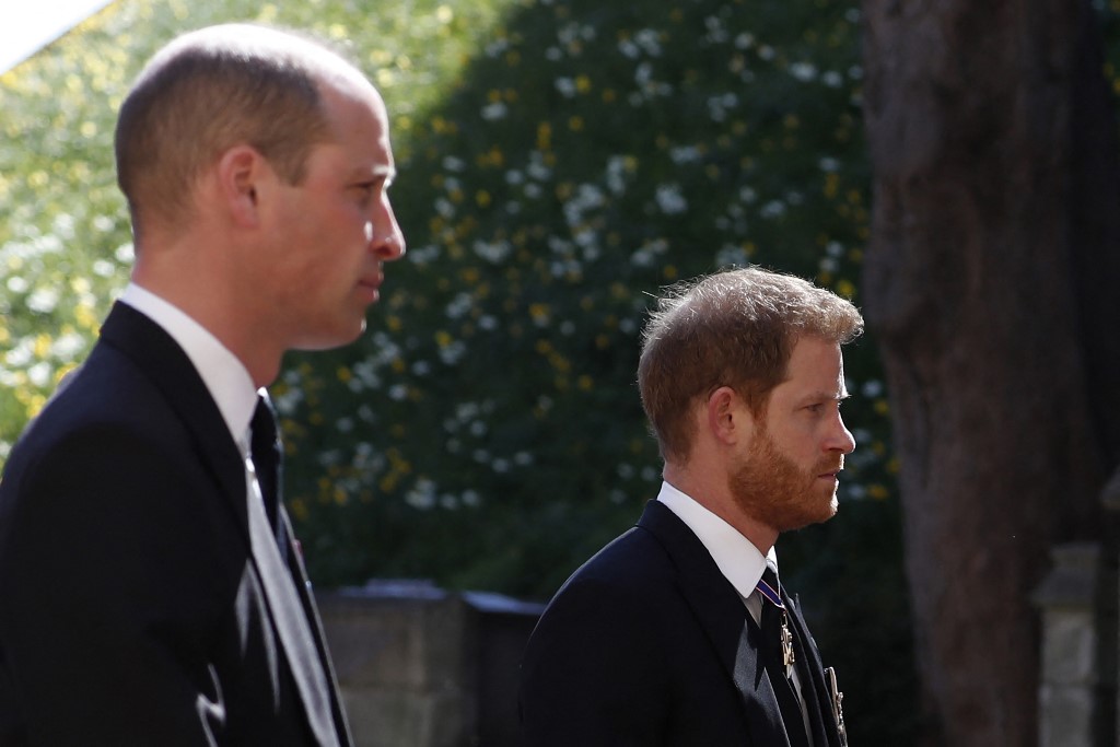 Statue de Diana: l'occasion pour William et Harry de se réconcilier, selon un biographe