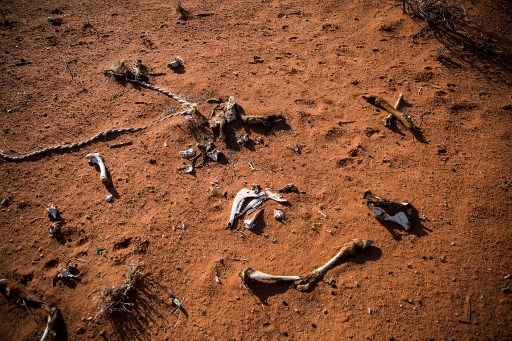 L'humanité à l'aube de retombées climatiques cataclysmiques