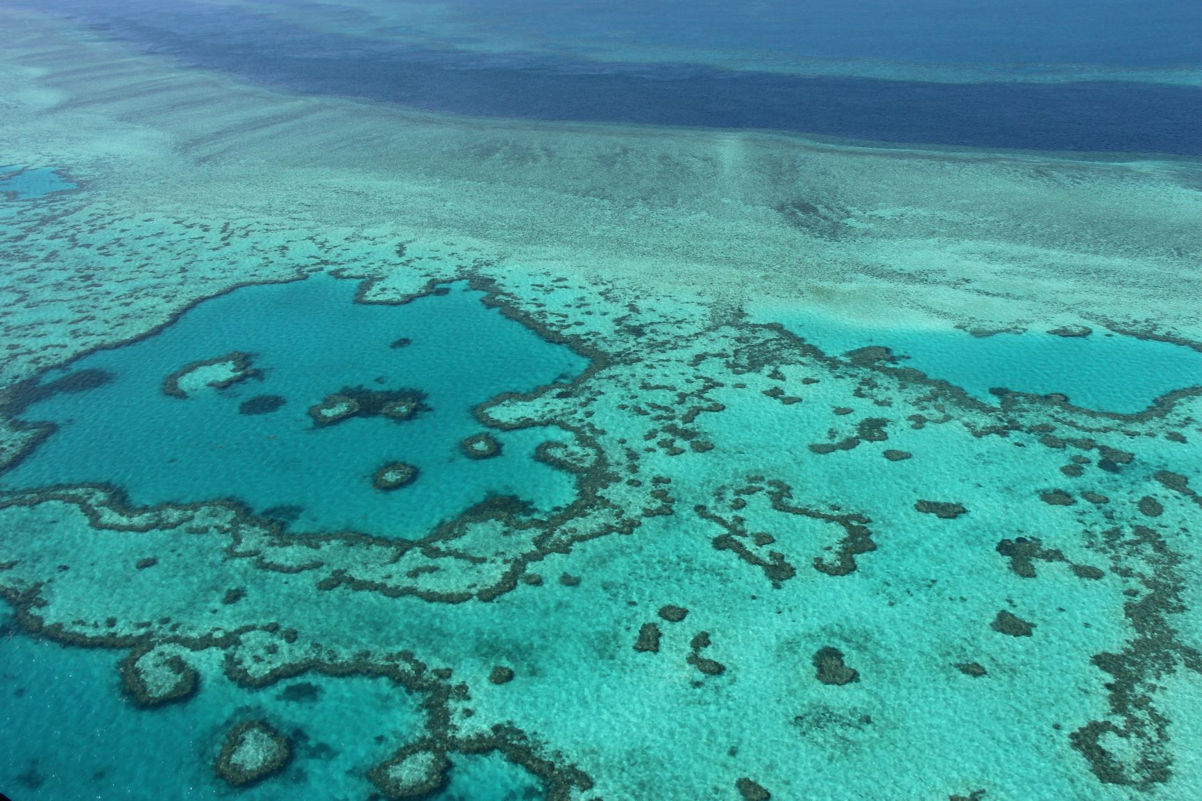 La Grande Barrière de corail «en danger» pour l'Unesco, l'Australie prête à contester
