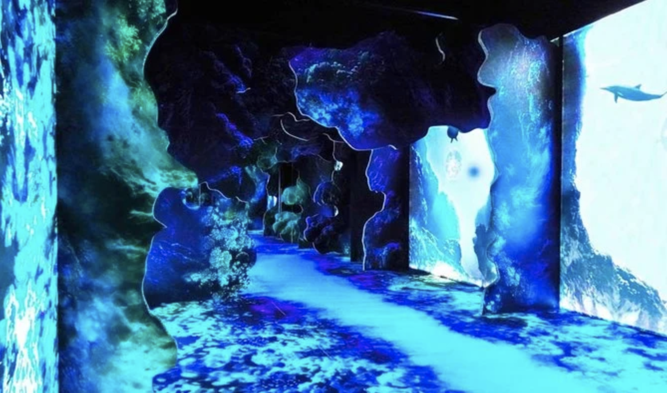 En Arabie saoudite, le musée Ithra accueille une exposition interactive sur l'environnement