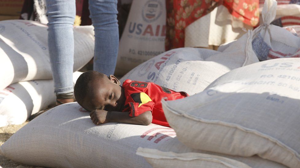 Le Pape appelle à prier pour le Tigré touché par la famine