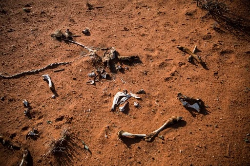 L'humanité à l'aube de retombées climatiques cataclysmiques