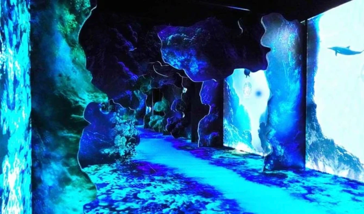 En Arabie saoudite, le musée Ithra accueille une exposition interactive sur l'environnement