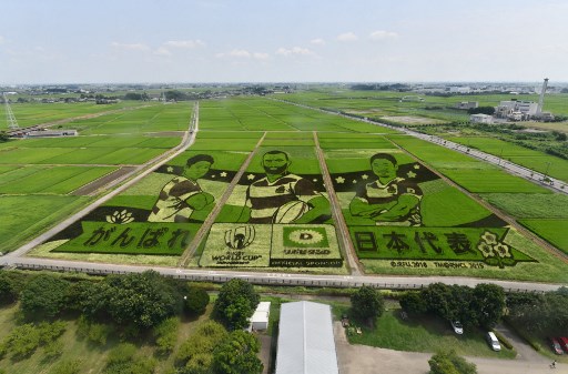 Vue générale de l'art de la rizière de 180 mètres de haut et de 165 mètres de large mettant en vedette les joueurs de l'équipe nationale de rugby du Japon de gauche à droite : Kazuki Himeno, Michael Leitch et Fumiaki Tanaka, dans la ville de Gyoda, préfecture de Saitama, le 18 août 2019. (Toshifumi Kitamura/AFP)