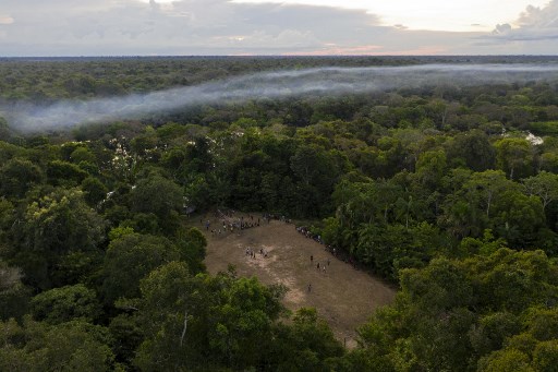 Une étude suggère que la forêt amazonienne est en train de devenir source de CO2