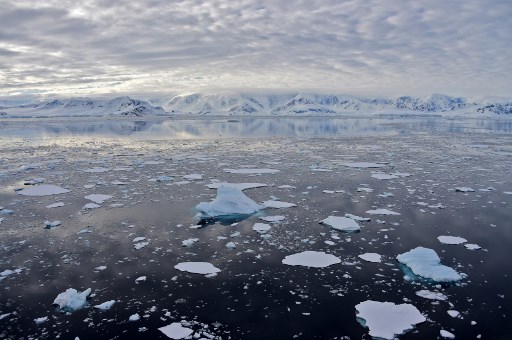 Record de chaleur sur l'Antarctique de 18,3 degrés Celsius le 6 février 2020