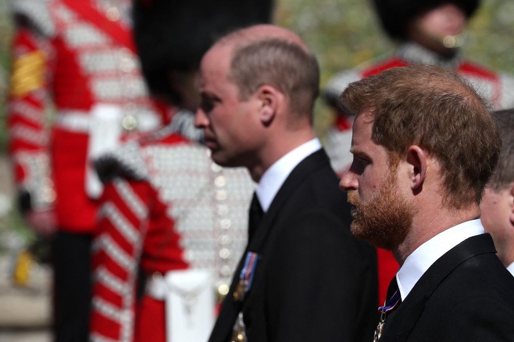Les princes William et Harry se retrouvent pour inaugurer une statue de leur mère Lady Di