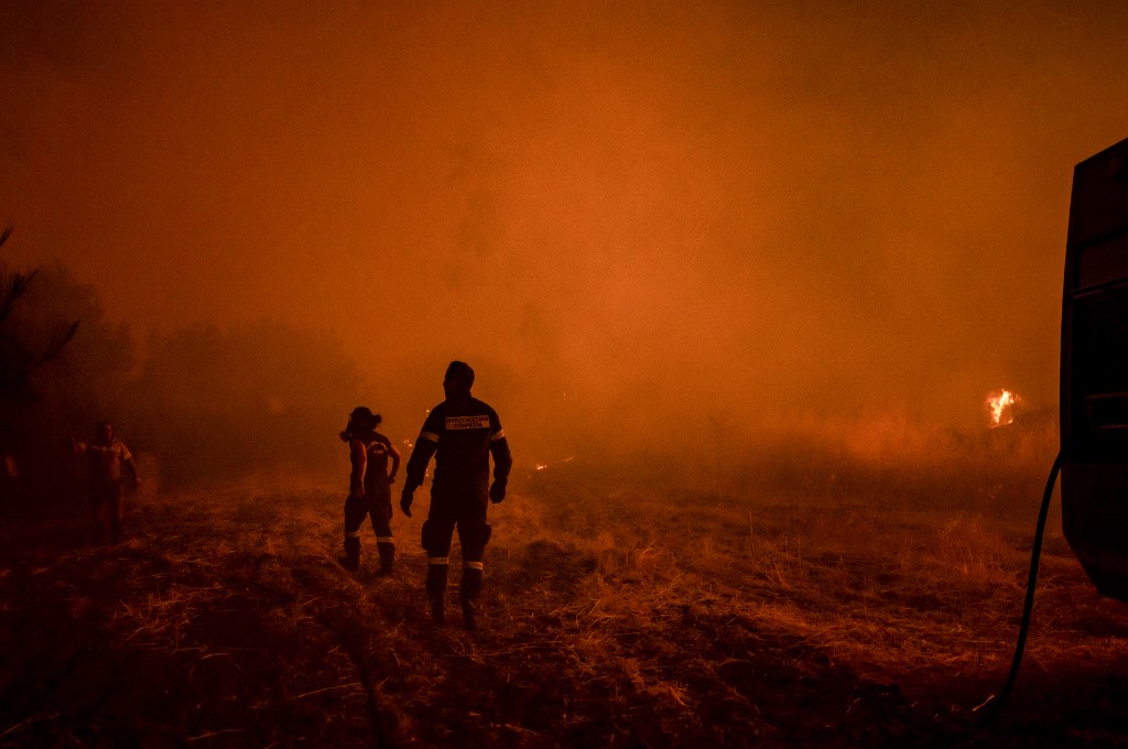Le poumon vert de Chypre dévasté par son pire incendie
