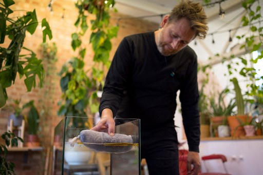 Co-fondateur de Green Salon Collective, Fry Taylor démontre l'utilisation d'un « boudin » fabriqué avec des cheveux collectés chez des coiffeurs pour nettoyer les marées noires, faire du compost ou produire de l'énergie, dans un salon de coiffure de l'est de Londres le 28 juin 2021. (Tolga Akmen/AFP)