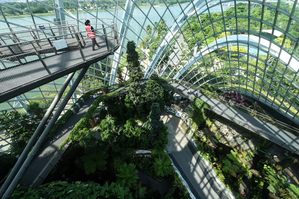 Les villes passent au vert: tour du monde en images